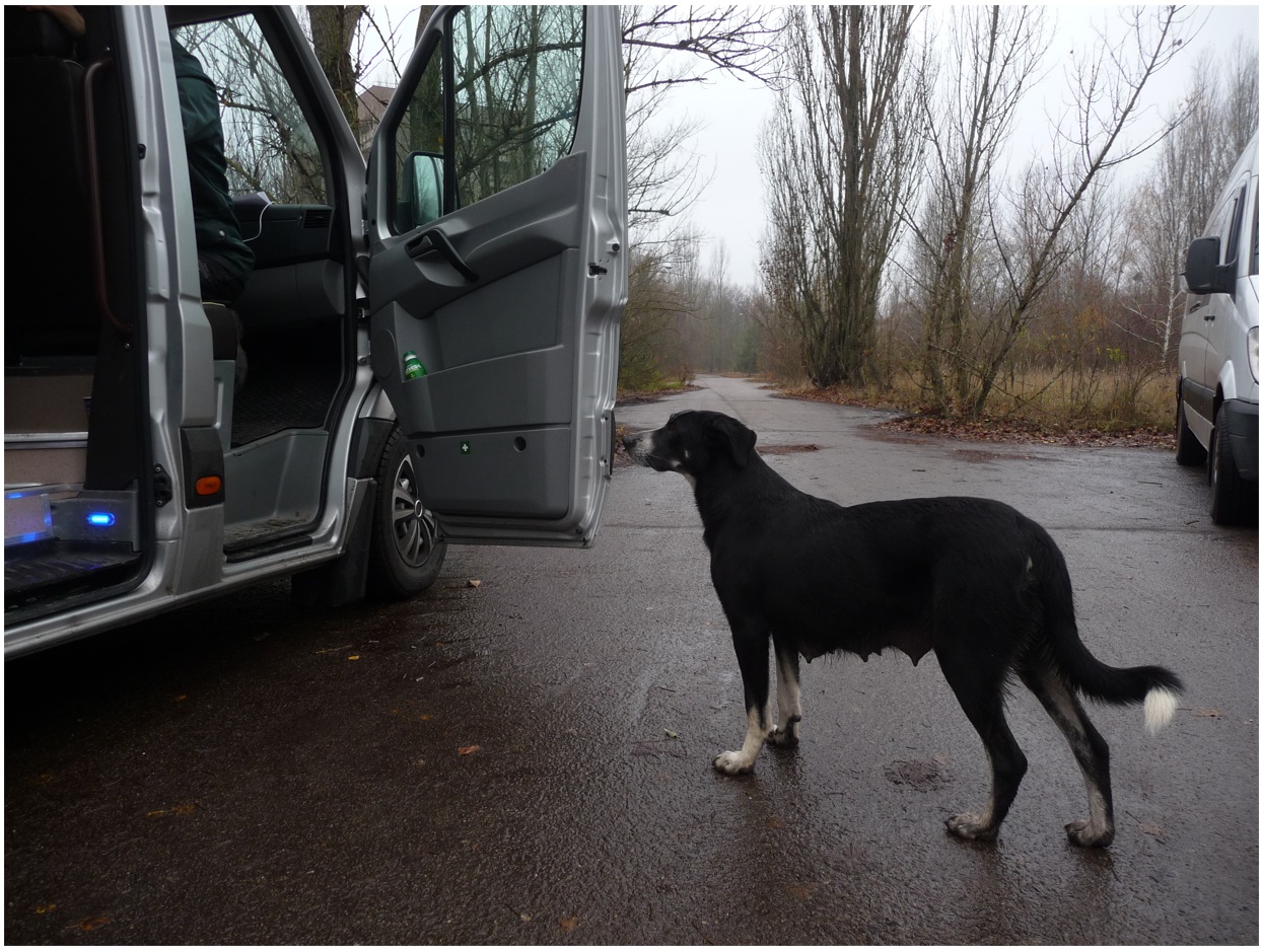 20 Vriendelijke hond bij afscheid Pripjat.jpg